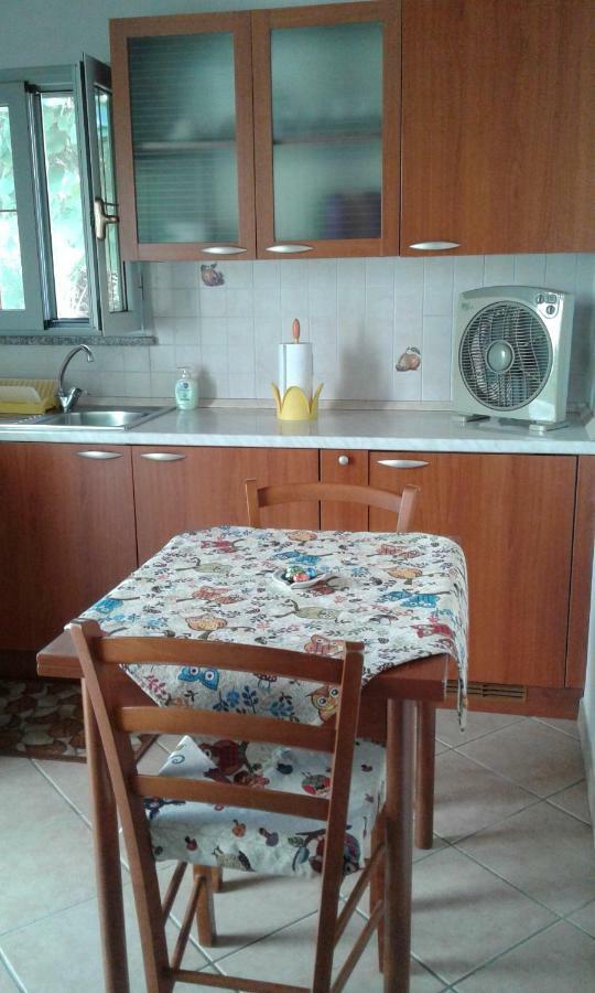 Da Lilly Apartment Лукка Экстерьер фото